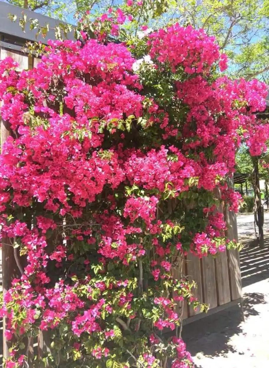 Apartamento Cambrils Exterior foto